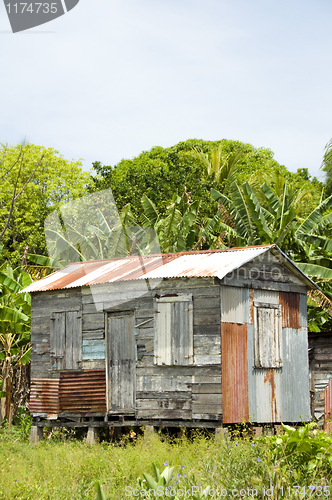 Image of ramshackle zinc clapboard house jungle Corn Island Nicaragua