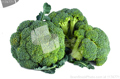 Image of fresh raw broccoli isolated on white background 