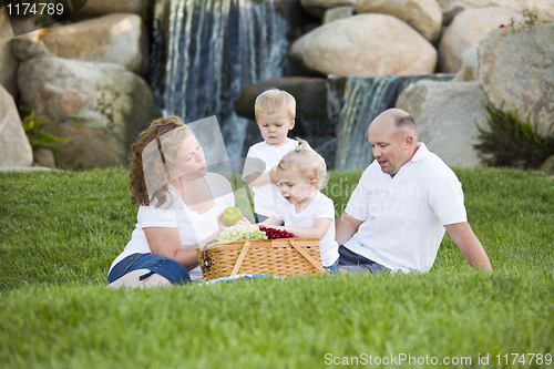 Image of Happy Young Family Enjoy Picnic in Park