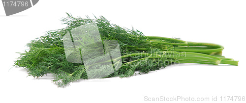 Image of fresh dill