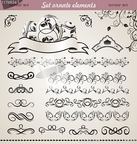 Image of set floral ornate design elements (5)