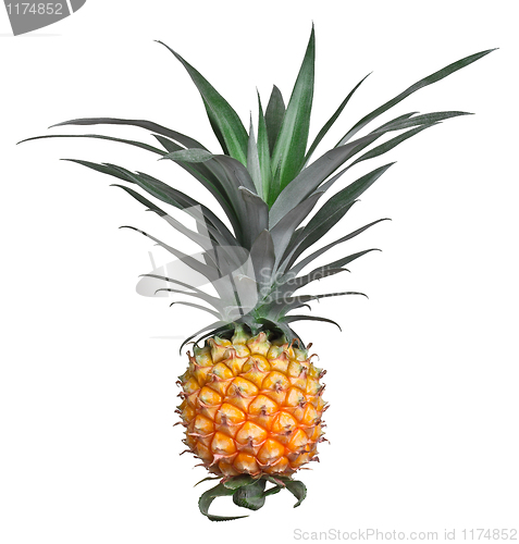 Image of pineapple