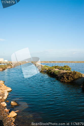 Image of Salt marsh