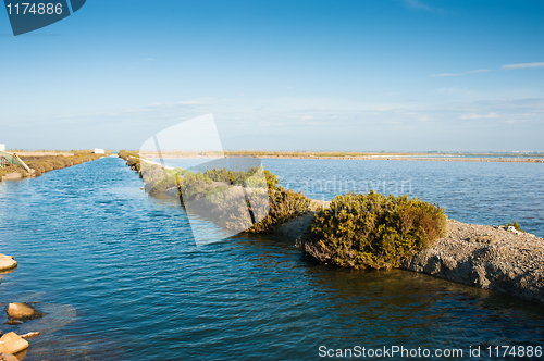 Image of Salt marsh