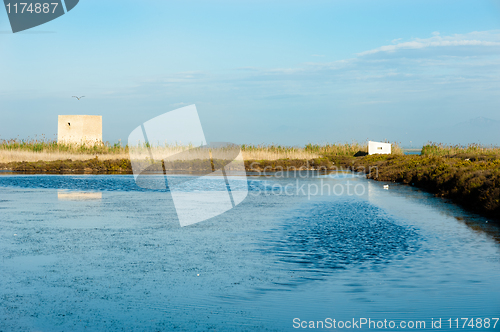 Image of Salt marsh