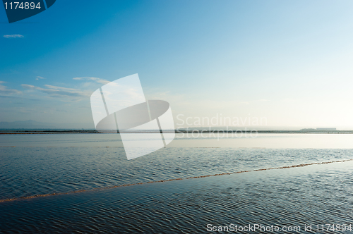 Image of Salt marsh