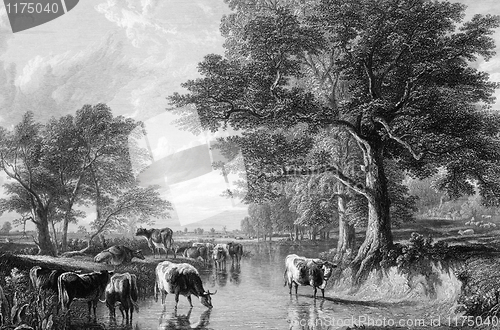 Image of Evening in the Meadows