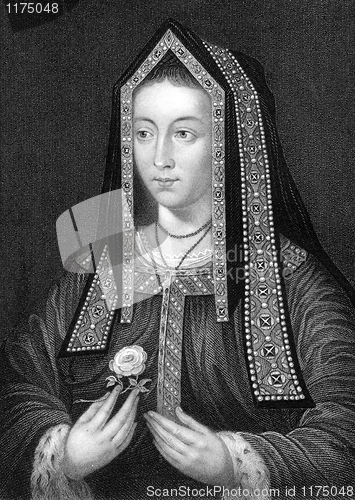 Image of Elizabeth of York