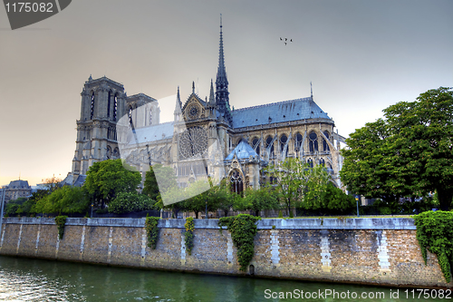 Image of Notre dame