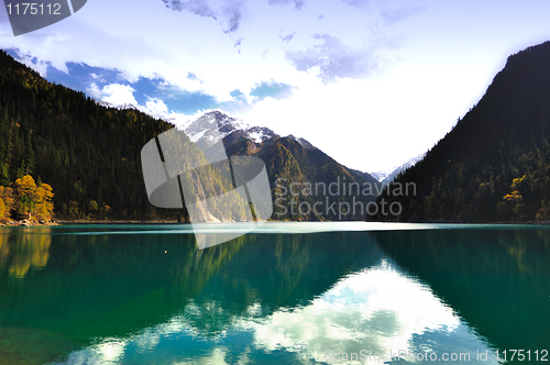 Image of Landscape of forest and lake in China Jiuzhaigou