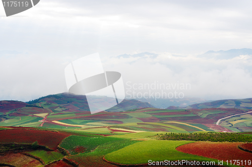 Image of Field landscape