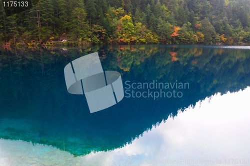 Image of Forest and lake landscape of China jiuzhaigou