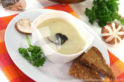 Image of Mushroom cream soup