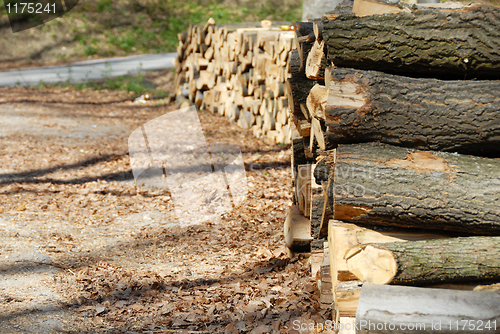 Image of Firewood