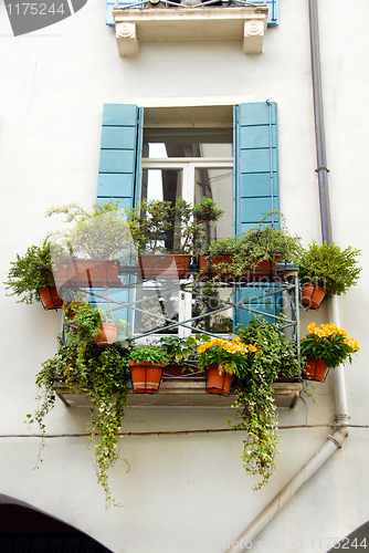 Image of Terrace and window with flowerpots