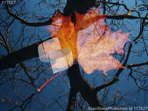 Image of reflection