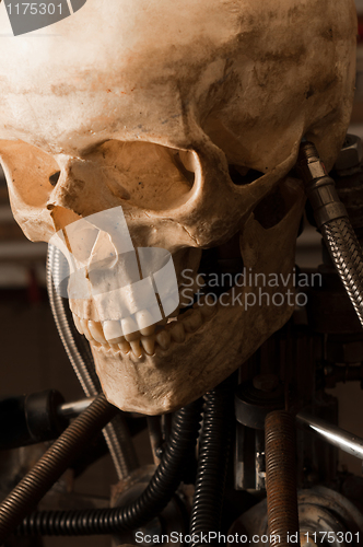 Image of close up of a robot with human skull