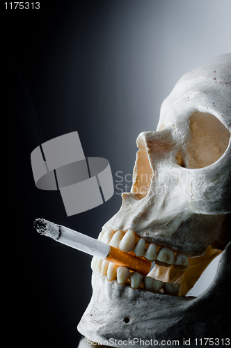 Image of Skull with burning cigarette in mouth