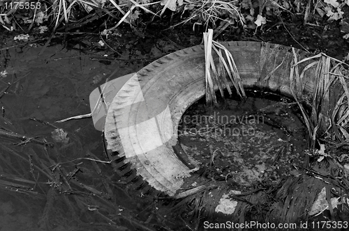 Image of Large truck tire dumped in the water in black and white