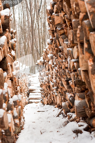 Image of Wooden loges piled up covered by snow