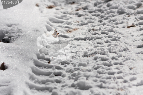 Image of Tire track in the snow