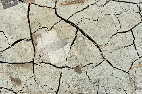 Image of Dry cracked soil texture