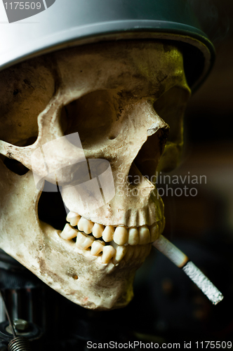 Image of Cigarette burning down in the mouth of the dead