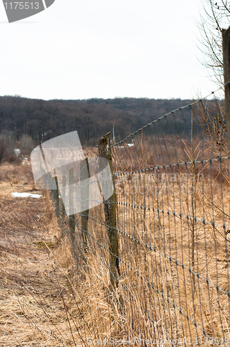 Image of  fence with forest in background