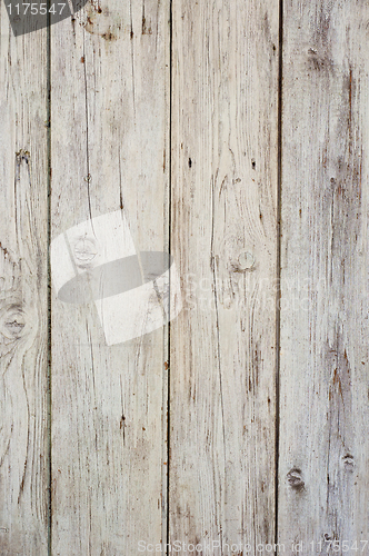 Image of white wood texture background