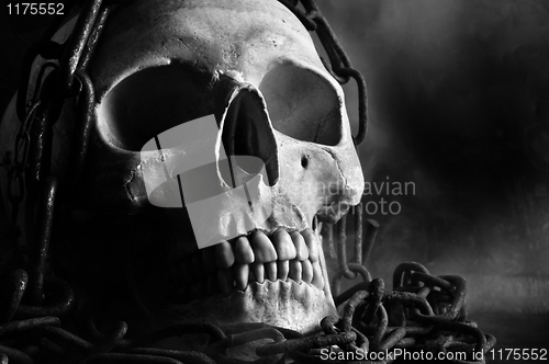 Image of human skull with chain and smoke in black and white