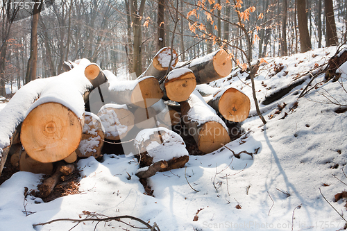 Image of Wooden loges piled up covered by snow and sun shining on them