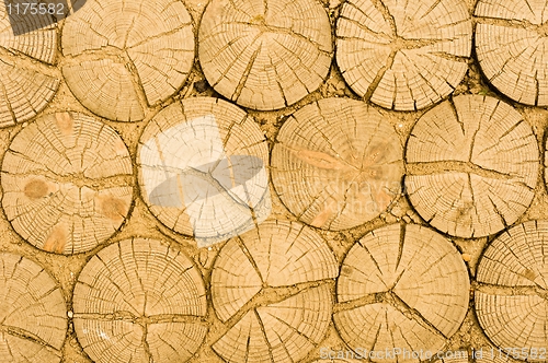 Image of Wooden logs texture