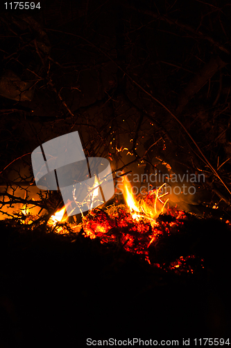 Image of Wild fire in bush with copyspace