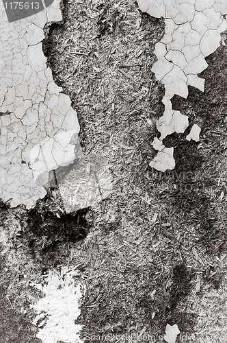 Image of An abandoned wooden background in black and white