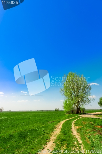 Image of Beautiful green landscape against blue sky with lone tree