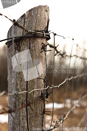 Image of Military barbed wire on wooden pole