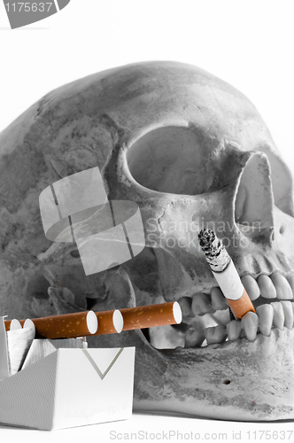 Image of Skull with burning cigarette in mouth
