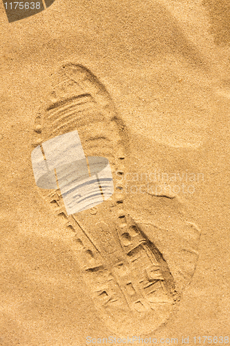Image of Shoeprint in the sand