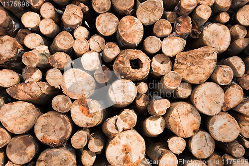 Image of Wooden loges piled up covered by snow