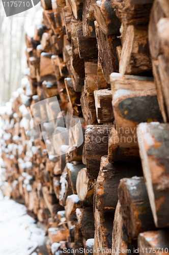 Image of Logs of wood piled up with snow on them