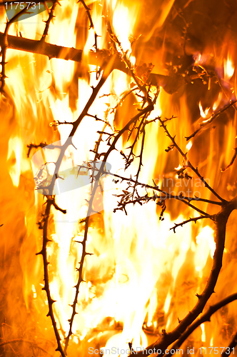 Image of Wildfire burning with large flames