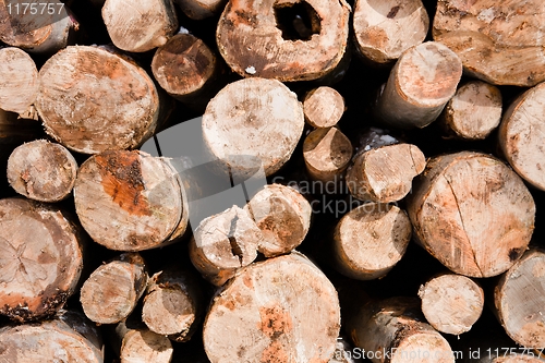 Image of Logs of wood piled up 