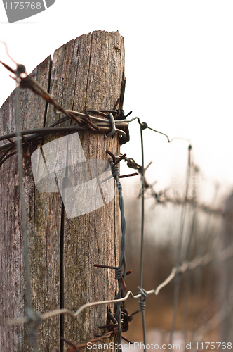 Image of Military barbed wire on wooden pole