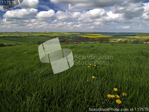 Image of Spring Fields