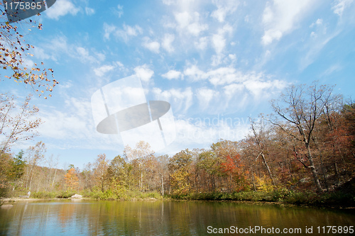 Image of autumn leaves and trees on river