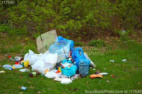 Image of Pile of litter in park