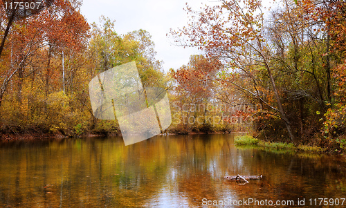 Image of autumn leaves and trees on river