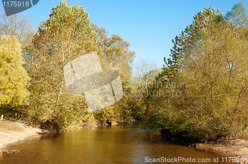 Image of autumn leaves and trees on river