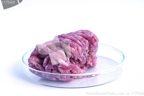 Image of Fresh raw minced beef