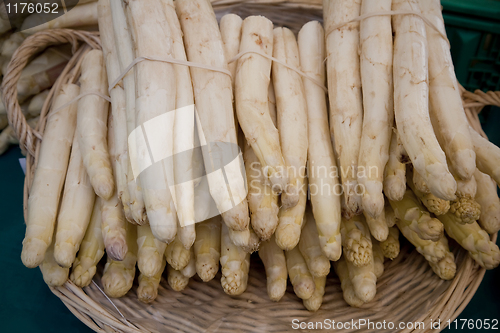 Image of Fresh white asparagus